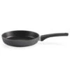 Koekenpan Antikleef 24 Cm Silicone Steel AllWarrmtebron Habonne -Tefal Winkel 101 4753 1 1