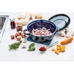 BK Fortalit Braadpan Ø20 Cm -Tefal Winkel 102 3819 4 1